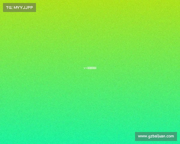 v+竞技蹦床公园